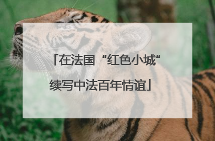 在法国“红色小城”续写中法百年情谊