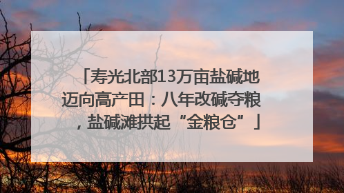 寿光北部13万亩盐碱地迈向高产田：八年改碱夺粮，盐碱滩拱起“金粮仓”