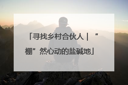 寻找乡村合伙人｜“棚”然心动的盐碱地