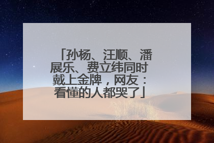 孙杨、汪顺、潘展乐、费立纬同时戴上金牌，网友：看懂的人都哭了