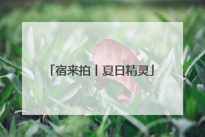 宿来拍丨夏日精灵