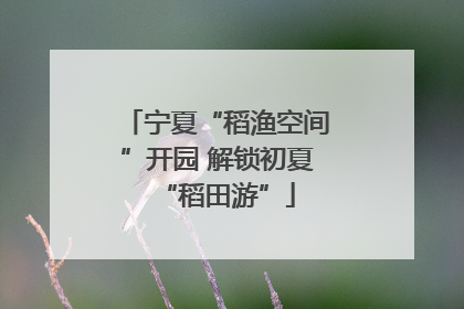 宁夏“稻渔空间”开园 解锁初夏“稻田游”