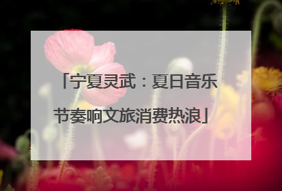 宁夏灵武：夏日音乐节奏响文旅消费热浪