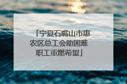 宁夏石嘴山市惠农区总工会助困难职工重燃希望