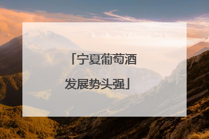 宁夏葡萄酒发展势头强