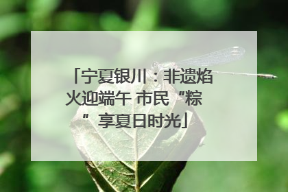 宁夏银川：非遗焰火迎端午 市民“粽”享夏日时光