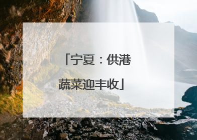宁夏：供港蔬菜迎丰收