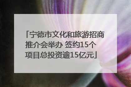 宁德市文化和旅游招商推介会举办 签约15个项目总投资逾15亿元