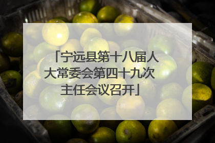 宁远县第十八届人大常委会第四十九次主任会议召开