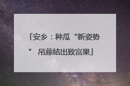安乡：种瓜“新姿势” 吊藤结出致富果