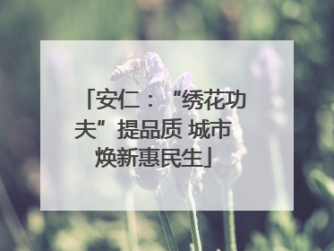 安仁：“绣花功夫”提品质 城市焕新惠民生