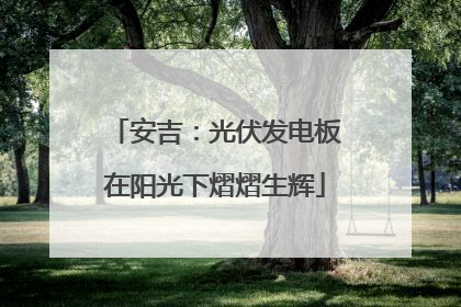 安吉：光伏发电板在阳光下熠熠生辉