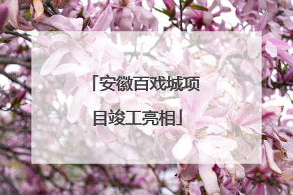 安徽百戏城项目竣工亮相