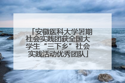 安徽医科大学暑期社会实践团获全国大学生“三下乡”社会实践活动优秀团队