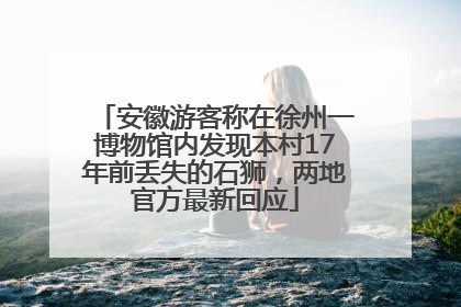 安徽游客称在徐州一博物馆内发现本村17年前丢失的石狮，两地官方最新回应