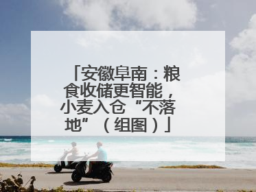 安徽阜南：粮食收储更智能，小麦入仓“不落地”（组图）