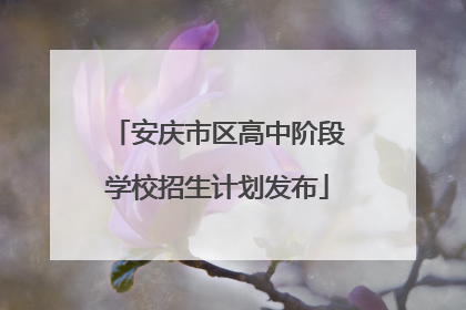 安庆市区高中阶段学校招生计划发布