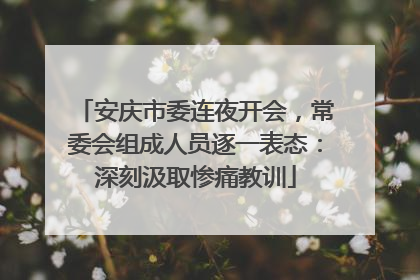 安庆市委连夜开会，常委会组成人员逐一表态：深刻汲取惨痛教训