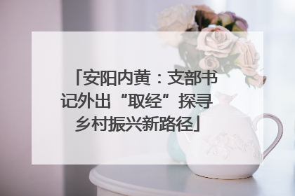 安阳内黄：支部书记外出“取经”探寻乡村振兴新路径