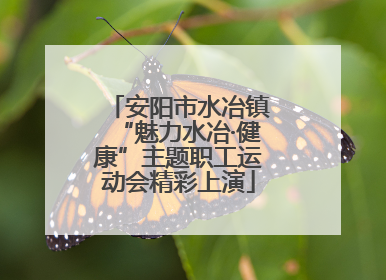 安阳市水冶镇“魅力水冶·健康”主题职工运动会精彩上演