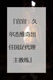 官宣：久尔杰维奇出任国足代理主教练