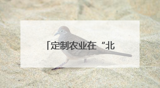 定制农业在“北国粮都”茁壮生长！企业：用算力指导生产，扁平化管理种地