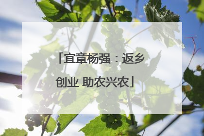 宜章杨强：返乡创业 助农兴农
