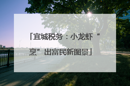 宜城税务：小龙虾“烹”出富民新图景