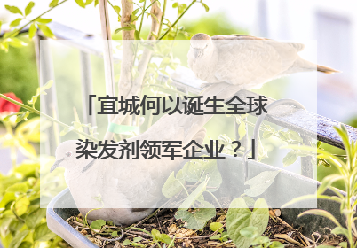 宜城何以诞生全球染发剂领军企业？
