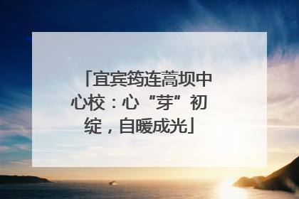 宜宾筠连蒿坝中心校：心“芽”初绽，自暖成光