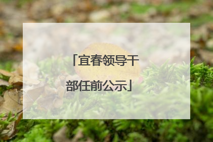 宜春领导干部任前公示