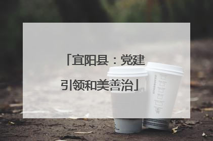 宜阳县：党建引领和美善治