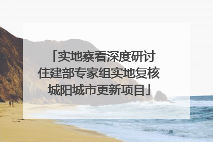 实地察看深度研讨 住建部专家组实地复核城阳城市更新项目