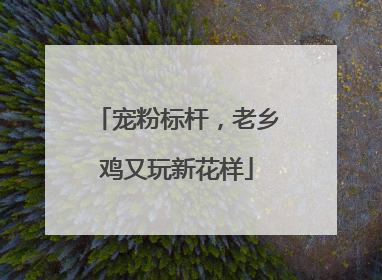 宠粉标杆，老乡鸡又玩新花样