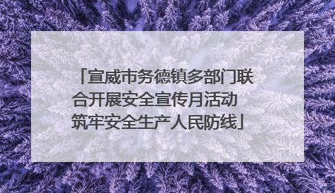 宣威市务德镇多部门联合开展安全宣传月活动 筑牢安全生产人民防线