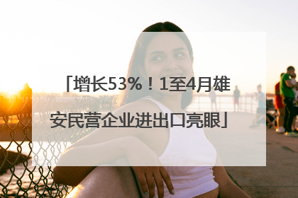 增长53%！1至4月雄安民营企业进出口亮眼
