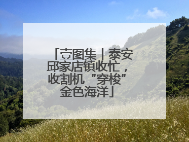 壹图集丨泰安邱家店镇收忙，收割机“穿梭”金色海洋