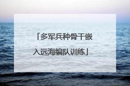 多军兵种骨干嵌入远海编队训练
