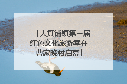 大箕铺镇第三届红色文化旅游季在曹家晚村启幕