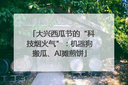 大兴西瓜节的“科技烟火气”：机器狗搬瓜、AI摊煎饼