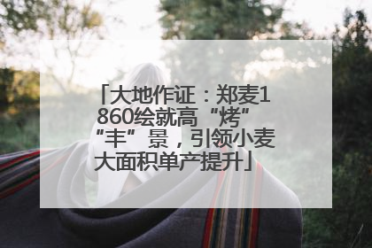 大地作证：郑麦1860绘就高“烤”“丰”景，引领小麦大面积单产提升