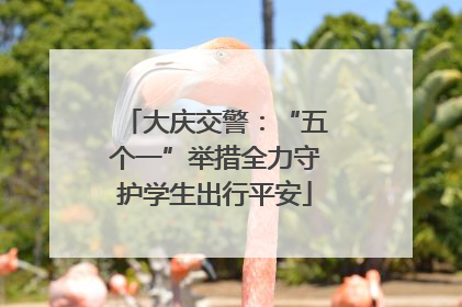 大庆交警：“五个一”举措全力守护学生出行平安