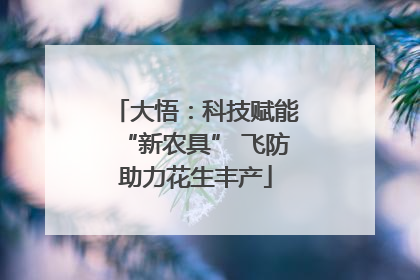 大悟：科技赋能“新农具” 飞防助力花生丰产