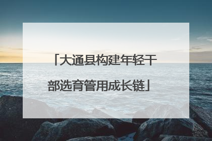 大通县构建年轻干部选育管用成长链
