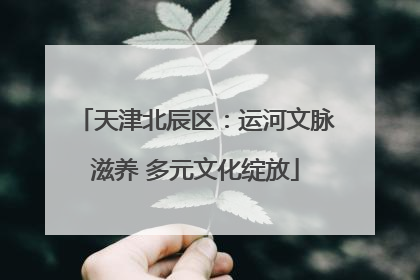 天津北辰区：运河文脉滋养 多元文化绽放
