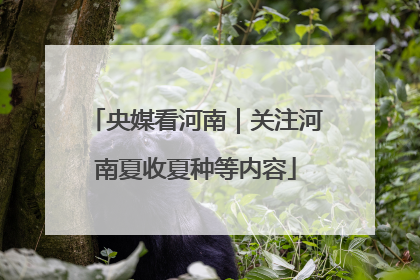 央媒看河南｜关注河南夏收夏种等内容