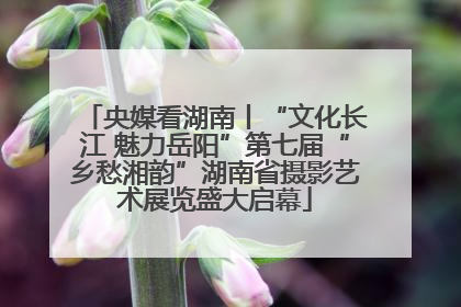 央媒看湖南丨“文化长江 魅力岳阳”第七届“乡愁湘韵”湖南省摄影艺术展览盛大启幕