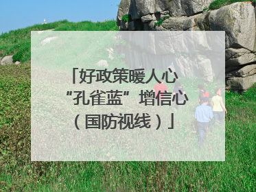 好政策暖人心 “孔雀蓝”增信心（国防视线）