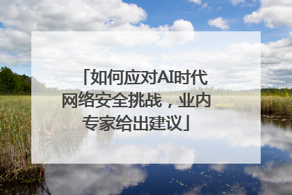 如何应对AI时代网络安全挑战，业内专家给出建议
