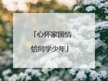 心怀家国情 恰同学少年